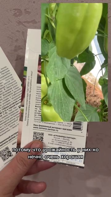 Вкусные и урожайные перцы #помидоры #овощи #shorts #томат? смотреть онлайн