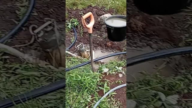 Просто Абиссинская скважина.Ленинградская область. #а смотреть онлайн