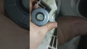 замена подшипников на стиральной машине Dexp