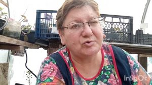 Что добавить в грунт-вермикулит или перлит?Как подрос?