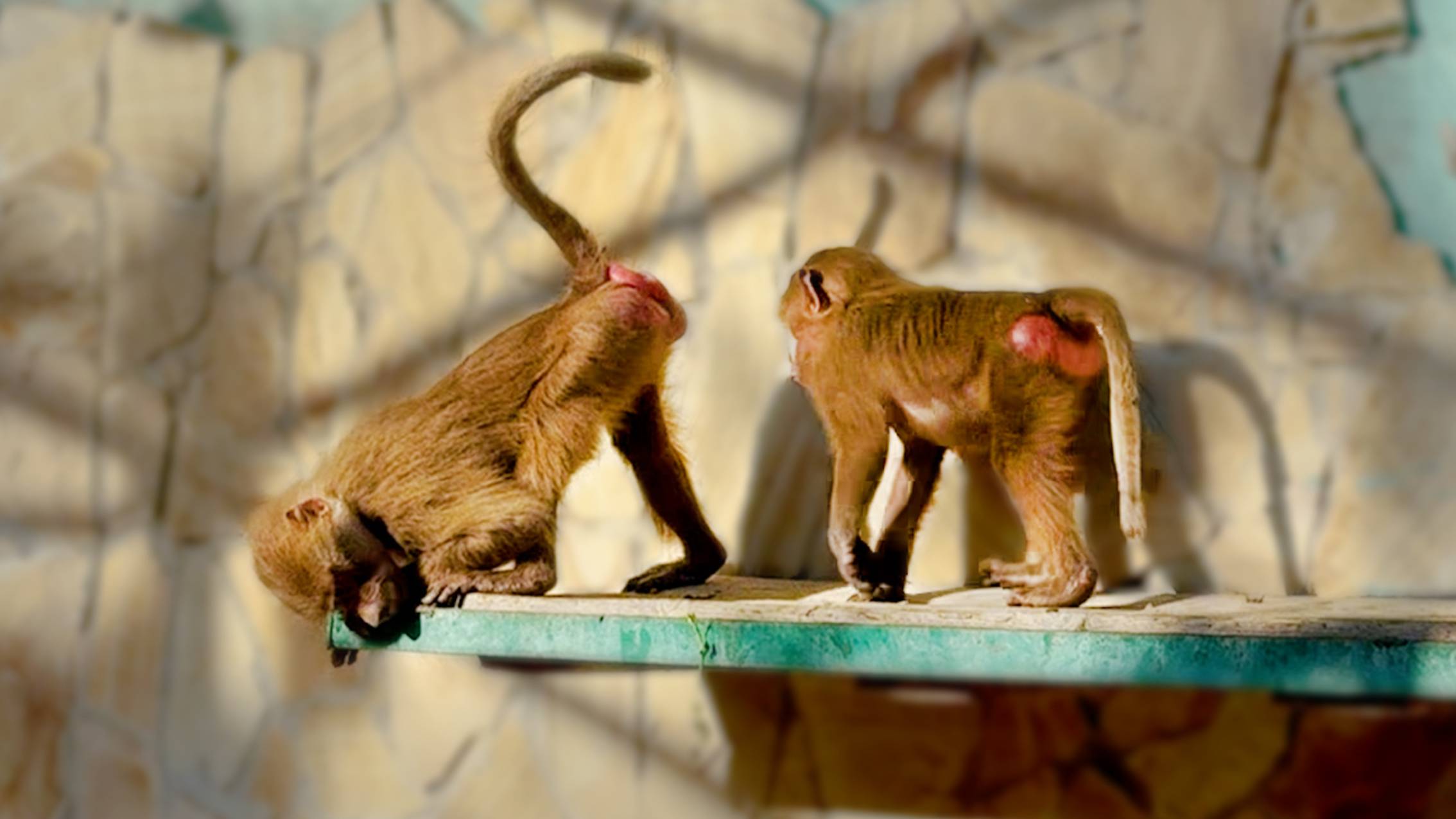 НЕ ДЕТСКИЕ ОТНОШЕНИЯ брата и сестры! Люся и Степа РАЗВЛЕКАЮТСЯ ПО ВЗРОСЛОМУ! Инстинкты берут свое! смотреть онлайн