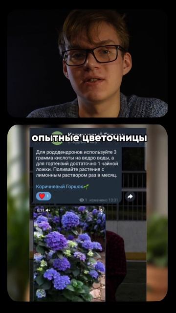 Спасите свой замик🌱 #цветы #растения #комнатныецветы смотреть онлайн