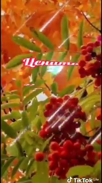 ГДЕ ЖЕ ТЫ??? смотреть онлайн