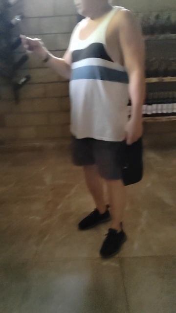 винный погреб по дороге на Рицу #абхазия #travel #summer #лето смотреть онлайн