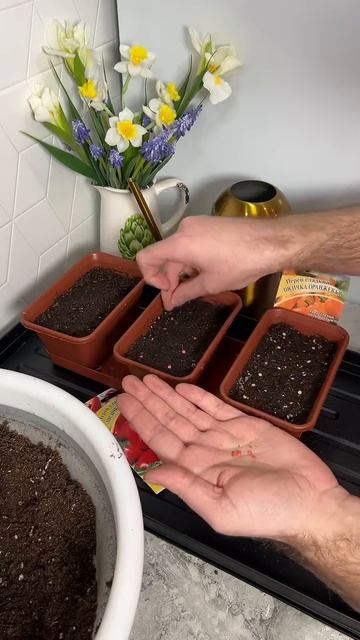 Перцы на зубок! #лайфхак #садоводничество #сад #огород # смотреть онлайн