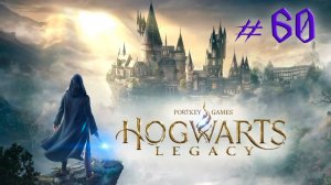 Hogwarts Legacy. Прохождение #60. СОКРОВИЩА ИЗ ПРОКЛЯТОЙ ГРОБНИЦЫ