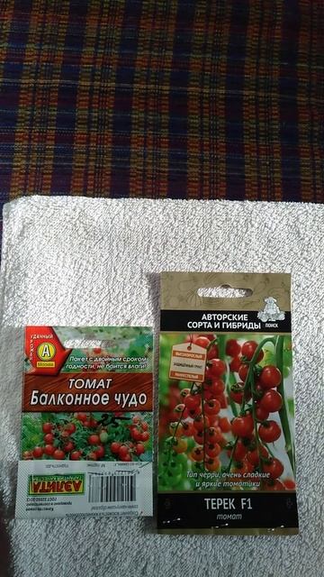 Лучшие сорта томатов черри #Shorts