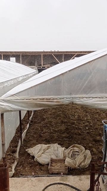 Бу йил деҳқончилигимиз кечроқ, чунки... смотреть онлайн