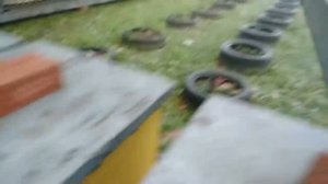 Как Зимовать в Улье с сетчатым Дном!!!