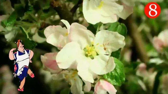 С наступающим женским днем