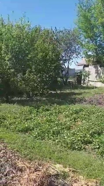 Дачный участок