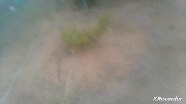 гроза и наковальня (возможно) смотреть онлайн