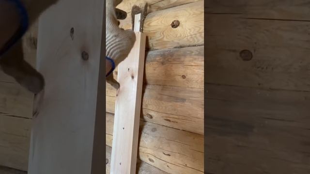 Перегородка из бруса в бане из сруба, как правильно сд? смотреть онлайн