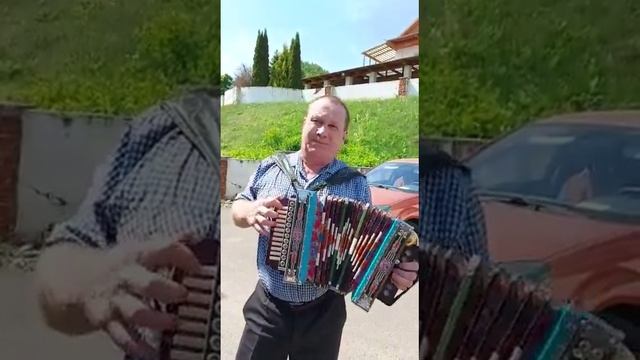 Тальянда халык кое.