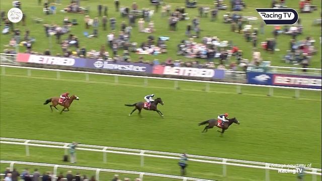 ТОП-6 Победителей Dante Stakes! смотреть онлайн