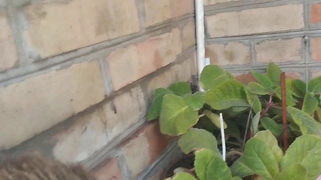 Украина,Запорожье.Нет земли! Как жить? Кого и куда сажа смотреть онлайн