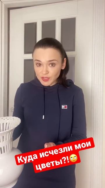 Куда исчезли мои цветы?! 😳Смешно до слез 😂 смотреть онлайн