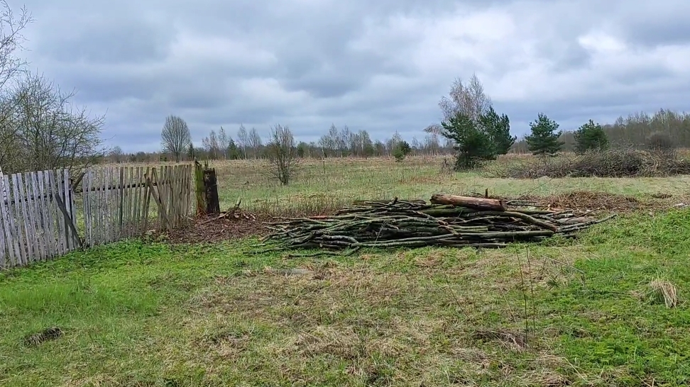 Кусты. Часть вторая.