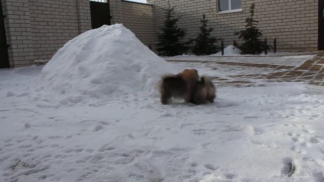 Ерошка и Еженка смотреть онлайн