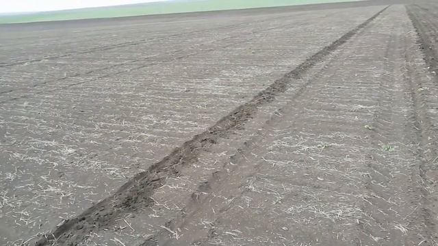 Посев кукурузы 01.05.2019 смотреть онлайн