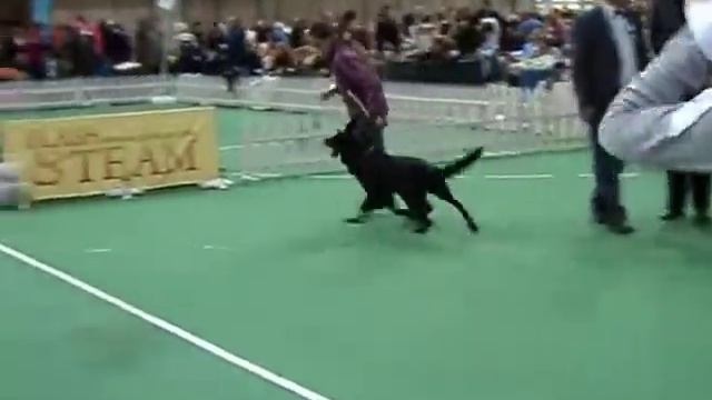 MOV02978.AVI-Калифорния