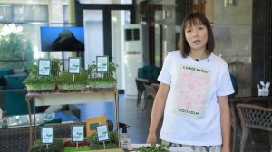 Микрозелень подсолнечника