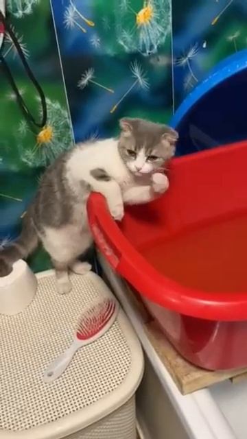 я ещё и на машинке шить могу😁 смотреть онлайн