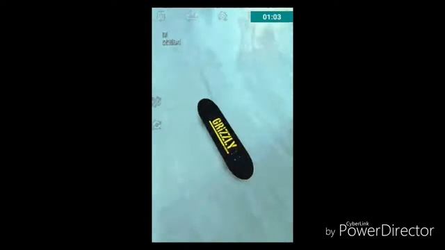 Обзор игры True skate