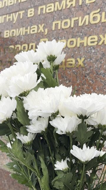 Ректор ВГТУ, сотрудники и студенты вуза приняли участие в торжественной церемонии возложения венков смотреть онлайн