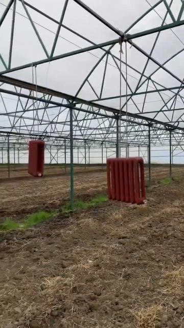 Красим батареи в теплице #томатныйсок #organicfarming #кубана