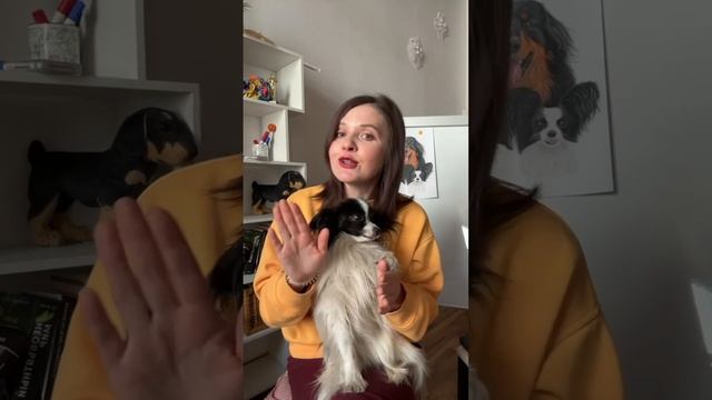 Секреты рабочей дистанации в дрессировке