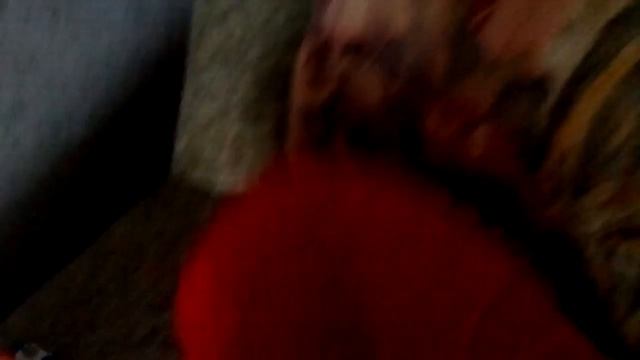 Никагда никому неверьте