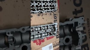 Замена грм Форд фокус 4 1.5 d