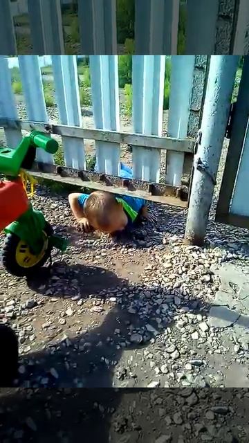 Хочу гулять! Забор не помеха ;-) смотреть онлайн