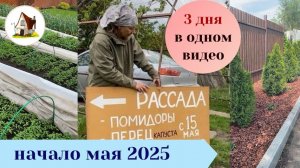 Мульчирование корой. Рассада на продажу. Архив 4-6 мая 2025.