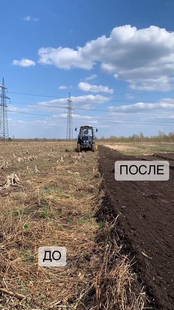 Готовим поле к сезону 👍🏻 #фермеры #ленинградскаяобл? смотреть онлайн