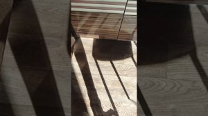 дом из металлических  сэндвич панелей ньюансы