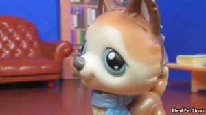 LPS МЛАДШИЙ БРАТ 3 серия