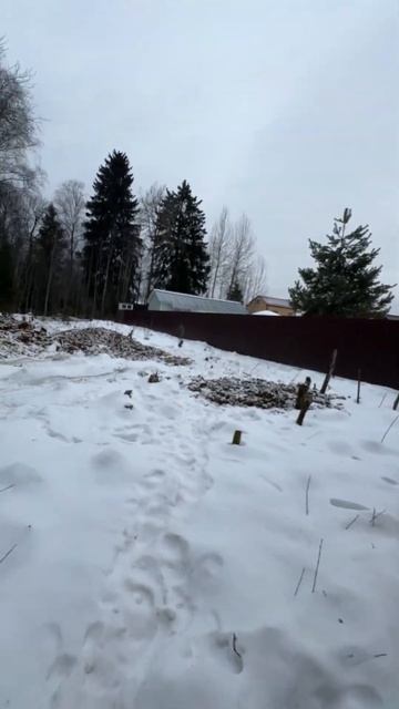 ✅ Бурение колодцев, септиков из бетонных колец, дрена? смотреть онлайн