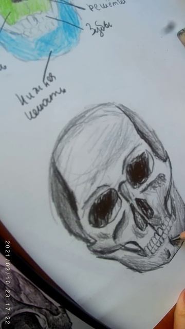 #рисую #череп #карандашом #drawing #shorts #art смотреть онлайн