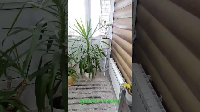 Подставка для цветов. Стойка для кашпо , горшков.