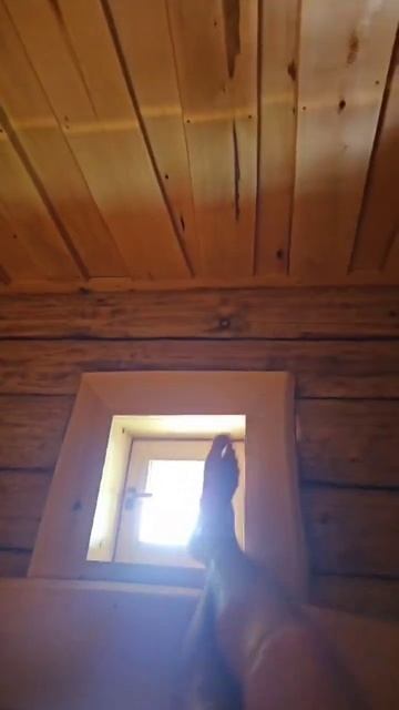 Атмосфера Pro XL и хороший пар #баня #банядлядачи #стройк? смотреть онлайн