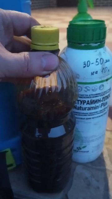 Подкормка клубники во время цветения. Чем подкормить ? смотреть онлайн