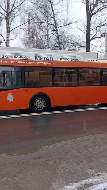 Автобусы Лиаз А-90 и А-51 #транспорт #автобус #лиаз #shorts