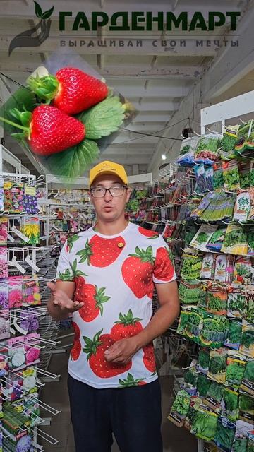 Ампельная клубника будет у каждого #Гарденмарт_советы смотреть онлайн