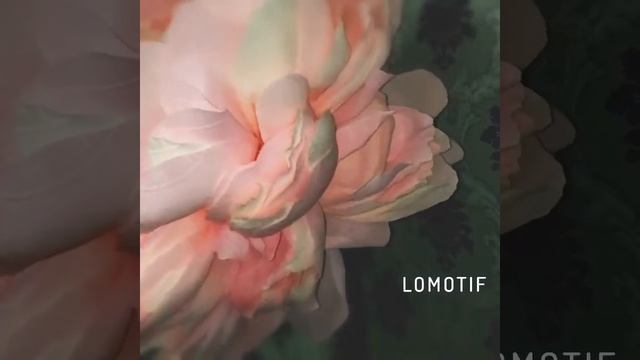 Пушистый пион из Гофро бумаги на ножке@big_flowers26 смотреть онлайн