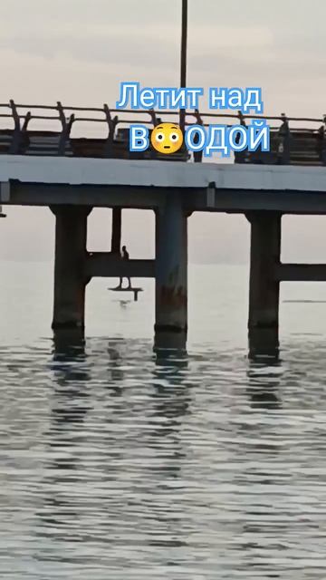 КАК ЭТА ШТУКА НАЗЫВАЕТСЯ?😳 #море #катание #рок #русски? смотреть онлайн
