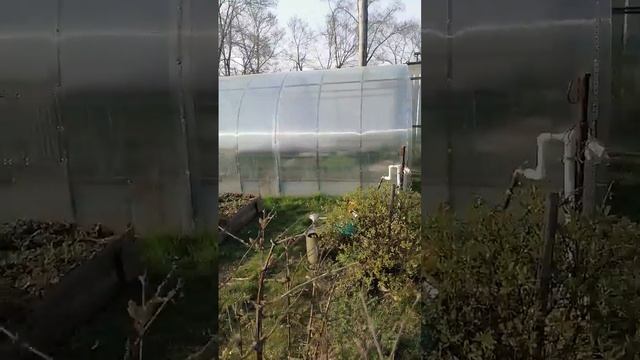 Плёнка или поликарбонат? смотреть онлайн