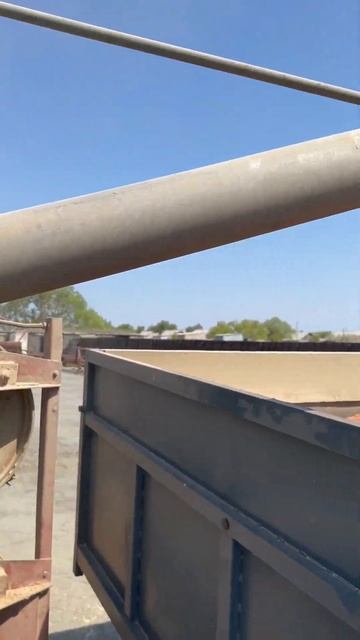 Чистка семян Протравка семян смотреть онлайн