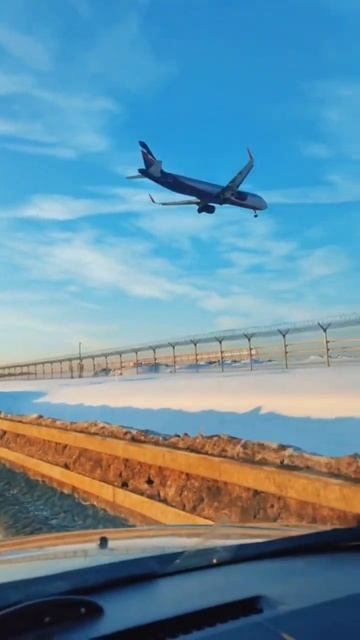 Посадка Airbus A320 #посадкасамолета #пилот #самолет #pilot #airb